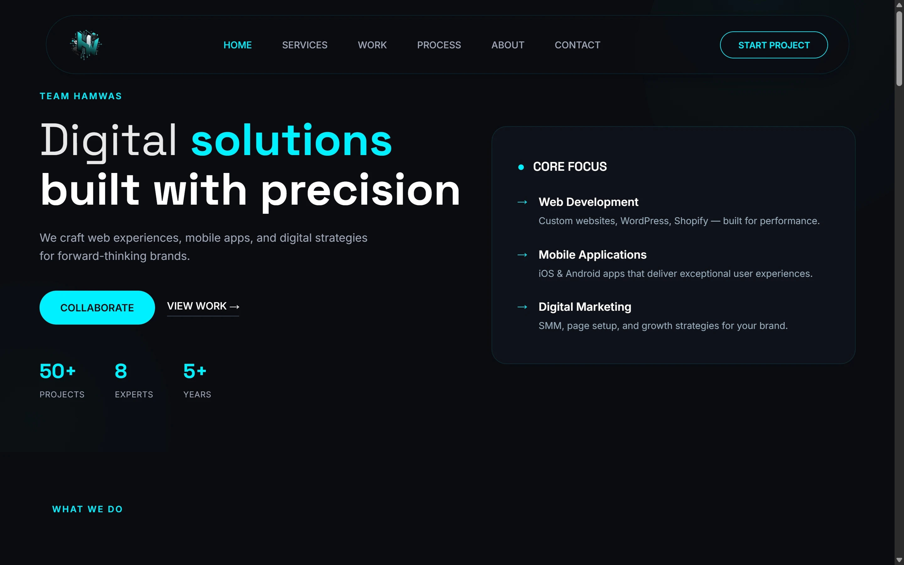 Hamwas — project interface